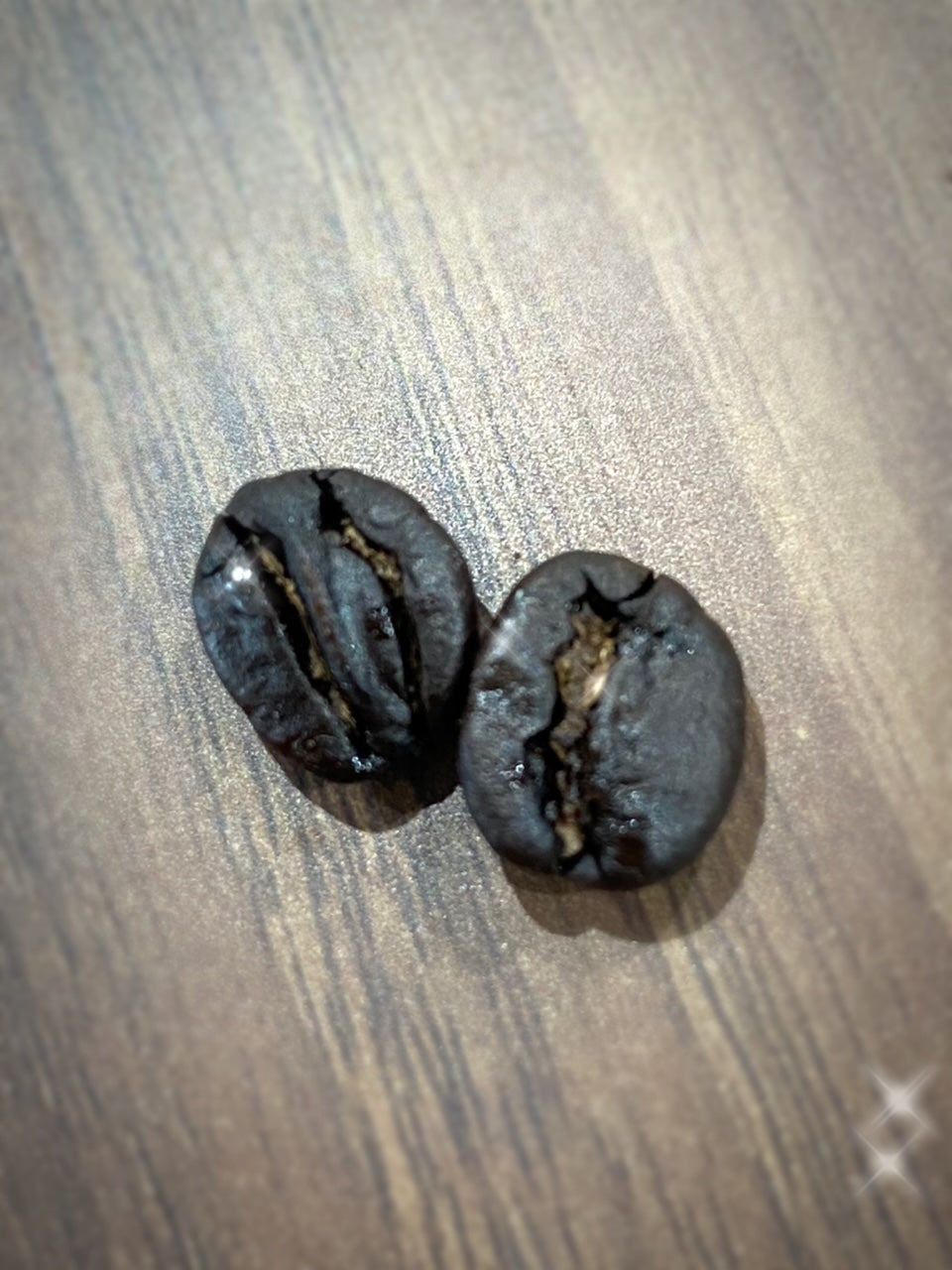 アンティグアSHB