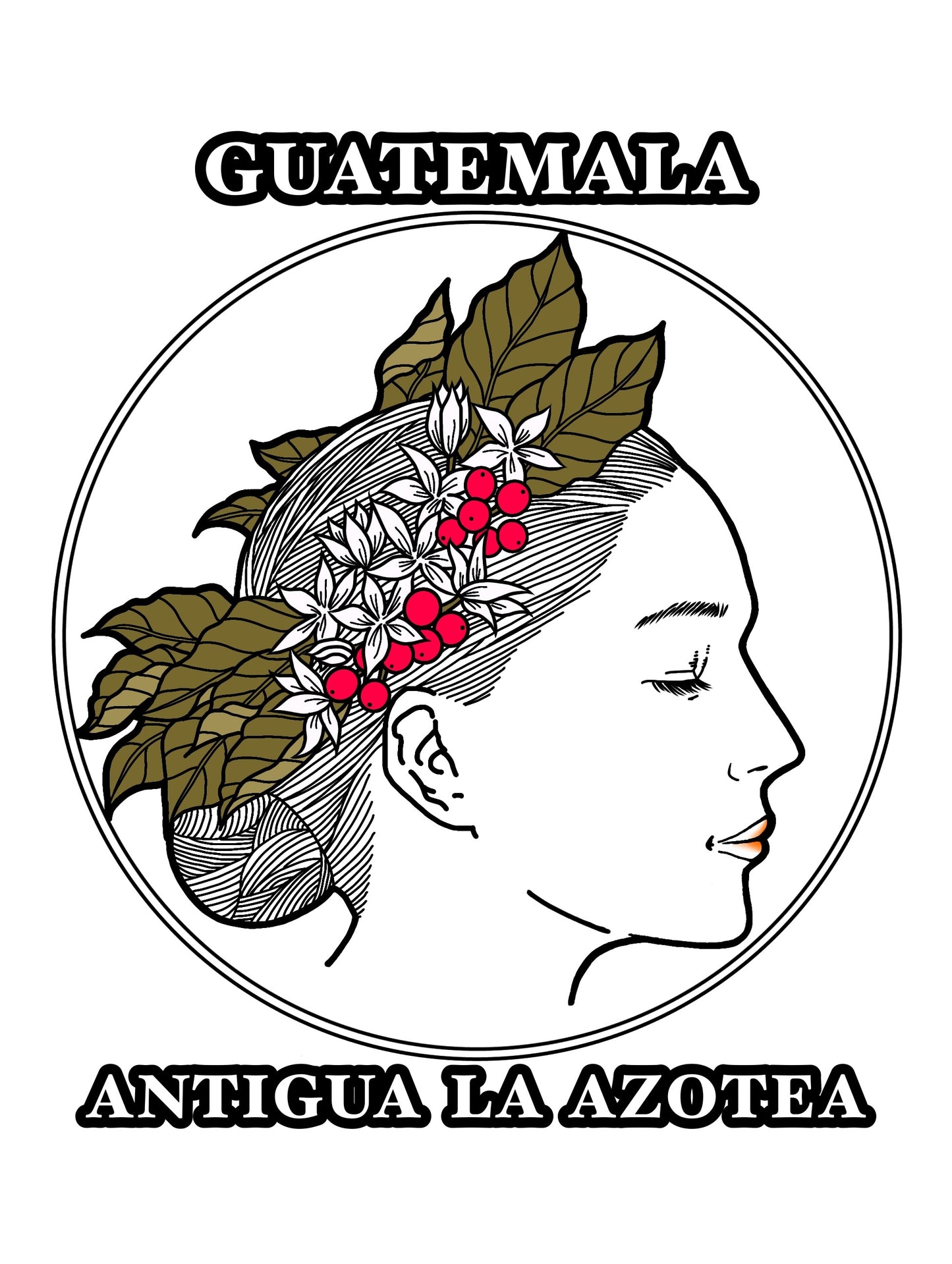 アンティグアSHB