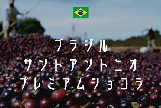 サントアントニオ プレミアムショコラ