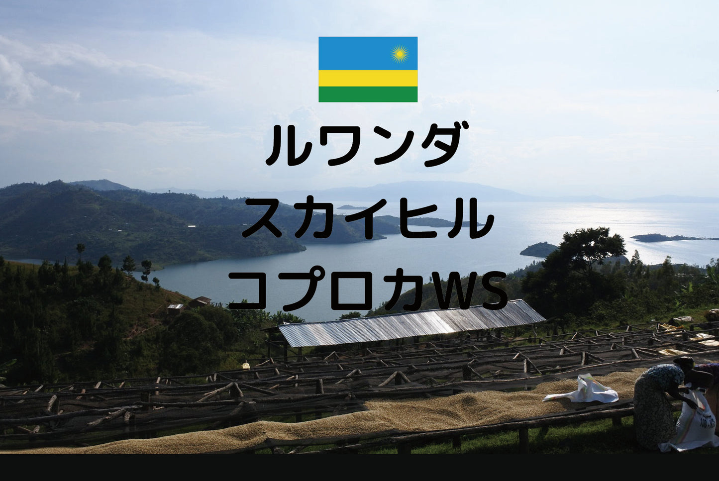 スカイヒル コプロカWS